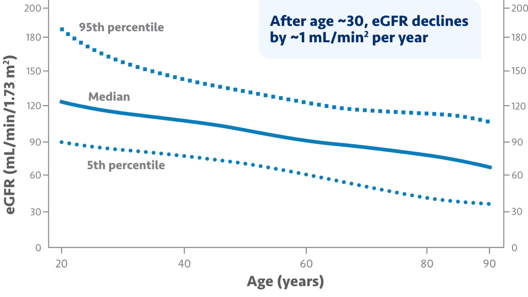 Chart showing decline in eGFR with age