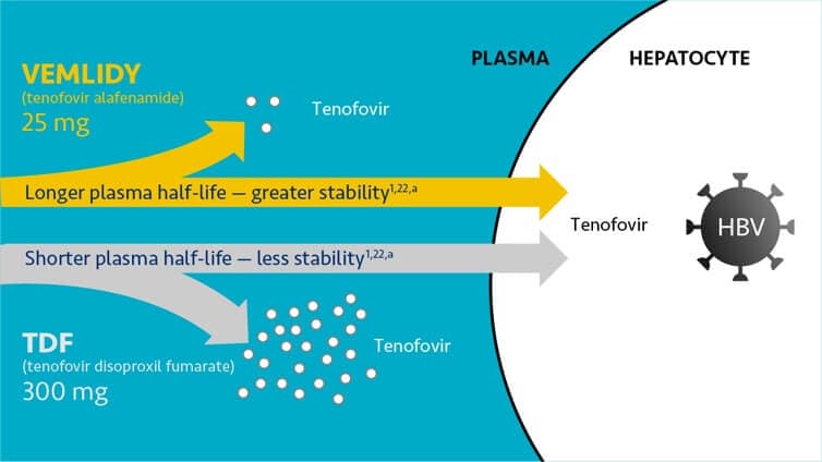 VEMLIDY® (tenofovir Alafenamide) Mechanism Of Action | HCP Site