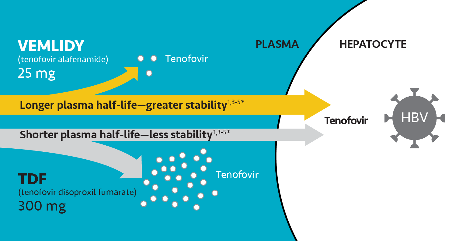 VEMLIDY® (tenofovir Alafenamide) Mechanism Of Action | HCP Site